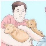 Два чемодана