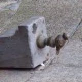 Чижик Пыжик СПб