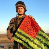 купил арбуз))