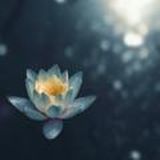 Медитации с Крис #медитациисбали