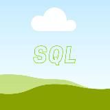 Senior SQL Developer