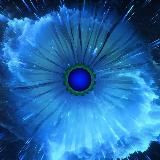 Информационный вестник РНТО