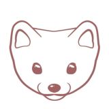 Morning Ermine Art