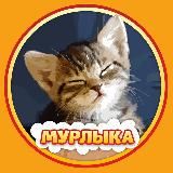 МУРЛЫКА