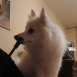 Ванилюк answers