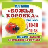 Божья коровка