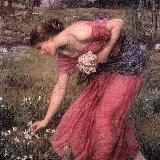 Хижина в лесу