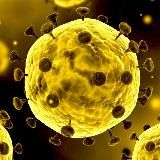 Короновирус