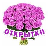 Наши | Открытки