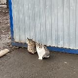 я хочу стать лучше! 🧚🏻♀️