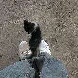 ПЕРЕЕЗД ! 㒶 ๑ green tea !! . . ᶻ 𐰁