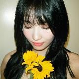 ᴋ-ᴩᴏᴩ #viᴋii🌼