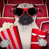 🍿КИНОЛАЙН❤️🔥