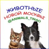 Животные Новой Москвы / ТиНАО чат