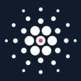 Cardano Japan Trading 🎌