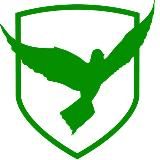 Центр списания долгов/Финансовый доктор/️Банкротство