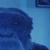 Afro-American Words In Russian