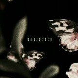 👑⚜𝙶𝚞𝚌𝚌𝚒 ⚜👑