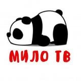 МИЛО🐼ТВ
