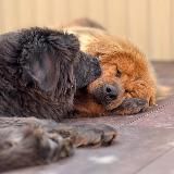 Жизнь, как запись в дневнике