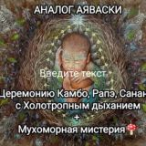 Чат Церемонии Камбо Рапэ Сананга. Холотропное дыхание. Шаманские бани.Мухоморы.Ретриты🔥🍄🐸🌿