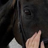 ⲩⲅⲟⲗⲟⲕ ⲏⲁⲡⲟⲙυⲏⲁⲏυύ.