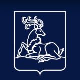 Одинцовский чат