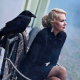 ворона-москвичка