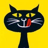 Мур Мяу в Дар🐾