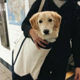 Сладко стелишь