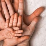 GreenShot🌱Витграсс 🌱 Хлорофилл