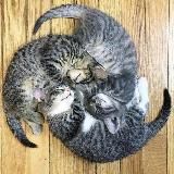 Котолампово