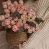 Сияющий свет✨