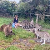 АвстрАллия 🇦🇺