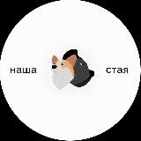 Наша стая