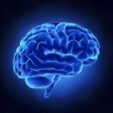 Прокачка мозгов