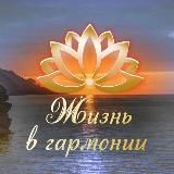 Жизнь в гармонии 🪷