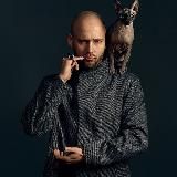 Школа Цаплина