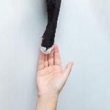 Тележка с котиками 🛒