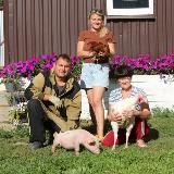 RozhinTV