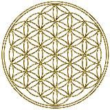 📣🤩 НОВОСТИ Созидания