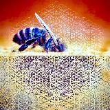 ВСЕЛЕНСКИЕ СОТЫ 88888888