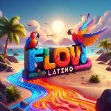 Flow Latino 🎵