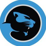 SaulBet| Ставки на спорт👑