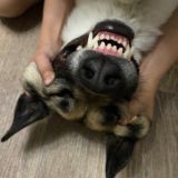 Малыш среди миллионов Chat