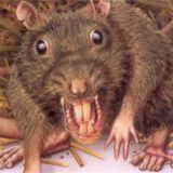 🐀крысиный слив🐀