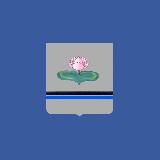 Администрация НГП