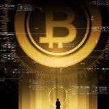 FibostatCourses NEW Бесплатные курсы Fibostat Courses