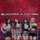 𝐛 𝐥 𝐚 𝐜 𝐤 𝐩 𝐢 𝐧 𝐤 ♡ 𝐬 𝐡 𝐨 𝐩