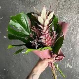 Цветы Парника (витрина)